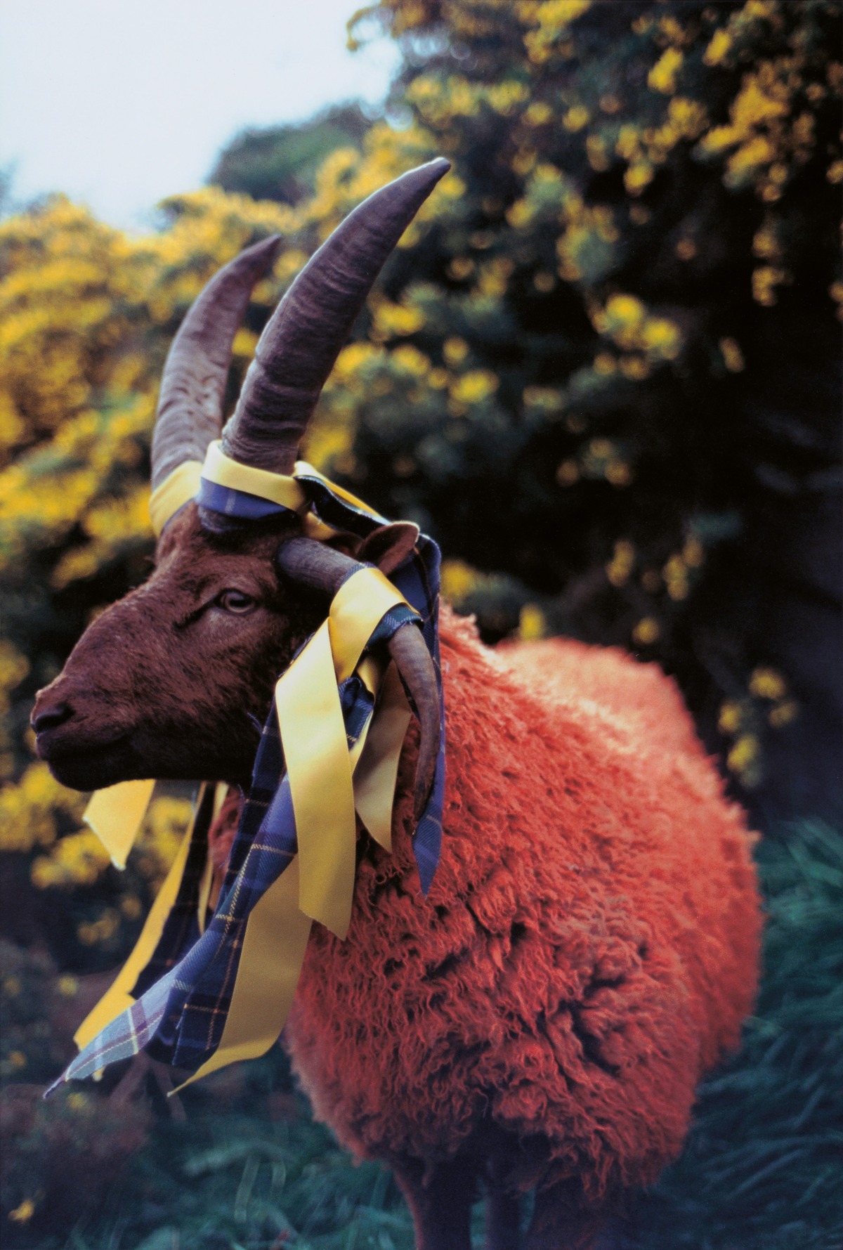 Matthew Barney, CREMASTER 4, 1994, (production still)  ©1994 Matthew Barney, photo: Michael James O’Brien , courtesy Gladstone Gallery, New York and Brussels 